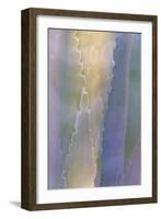 Agave III-Kathy Mahan-Framed Photographic Print