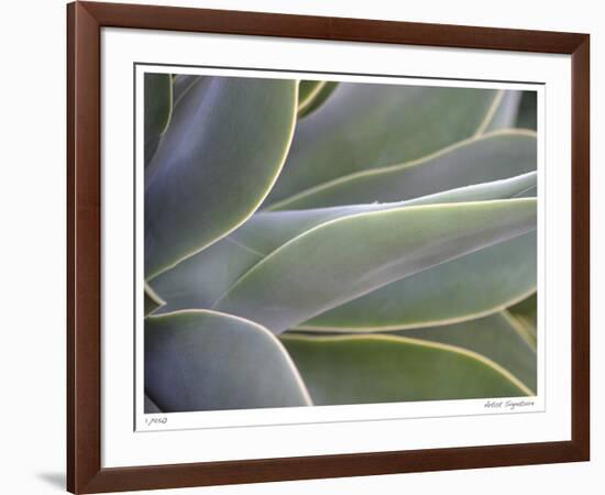 Agave IV-Joy Doherty-Framed Giclee Print