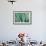 Agave on the Bright Angel Trail, Colorado, United States of America, North America-Bhaskar Krishnamurthy-Framed Photographic Print displayed on a wall