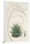 Gramercy White