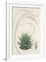 Gramercy White