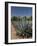 Agave Plants from Which Tequila Is Made, Hacienda San Jose Del Refugio, Amatitan, Jalisco-Richard Maschmeyer-Framed Photographic Print