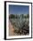 Agave Plants from Which Tequila Is Made, Hacienda San Jose Del Refugio, Amatitan, Jalisco-Richard Maschmeyer-Framed Photographic Print