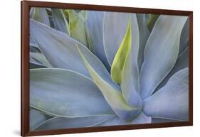 Agave Plants on the Island of Maui-Terry Eggers-Framed Photographic Print