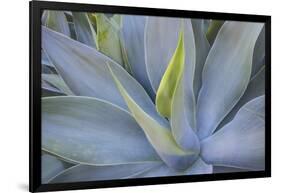 Agave Plants on the Island of Maui-Terry Eggers-Framed Photographic Print