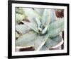 Agave Sebastiana-null-Framed Art Print