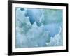 Agave, Sonora Desert Museum, Tucson, Arizona, USA-Rob Tilley-Framed Photographic Print