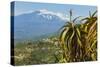 Agave Succulent Plant and Active Volcano 3350M Mount Etna Seen at This Northeast Tourist Town-Rob Francis-Stretched Canvas