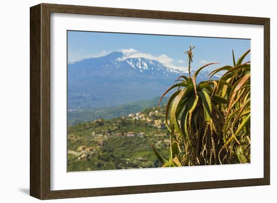 Agave Succulent Plant and Active Volcano 3350M Mount Etna Seen at This Northeast Tourist Town-Rob Francis-Framed Photographic Print