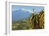 Agave Succulent Plant and Active Volcano 3350M Mount Etna Seen at This Northeast Tourist Town-Rob Francis-Framed Photographic Print