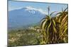 Agave Succulent Plant and Active Volcano 3350M Mount Etna Seen at This Northeast Tourist Town-Rob Francis-Mounted Photographic Print