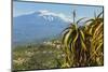 Agave Succulent Plant and Active Volcano 3350M Mount Etna Seen at This Northeast Tourist Town-Rob Francis-Mounted Photographic Print