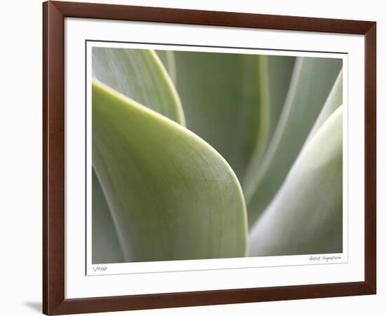 Agave V-Joy Doherty-Framed Giclee Print