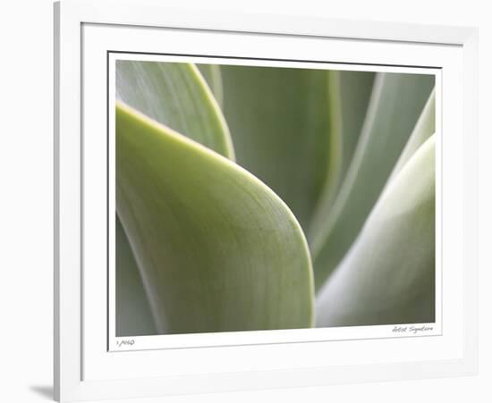 Agave V-Joy Doherty-Framed Giclee Print