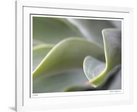 Agave VI-Joy Doherty-Framed Giclee Print