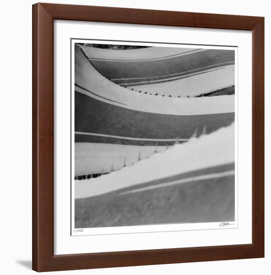Agave Waves 1-Edward Asher-Framed Giclee Print