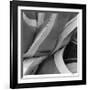 Agave Waves 2-Edward Asher-Framed Giclee Print