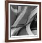 Agave Waves 2-Edward Asher-Framed Giclee Print