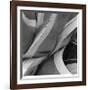 Agave Waves 2-Edward Asher-Framed Giclee Print