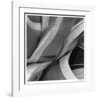 Agave Waves 2-Edward Asher-Framed Giclee Print