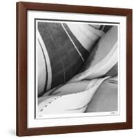 Agave Waves 3-Edward Asher-Framed Giclee Print