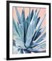 Agave with Coral-Alana Clumeck-Framed Art Print