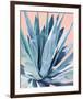 Agave with Coral-Alana Clumeck-Framed Art Print