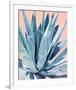 Agave with Coral-Alana Clumeck-Framed Art Print