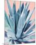 Agave with Coral-Alana Clumeck-Mounted Art Print