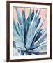 Agave with Coral-Alana Clumeck-Framed Art Print