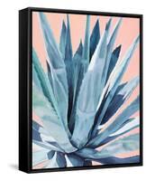 Agave with Coral-Alana Clumeck-Framed Stretched Canvas