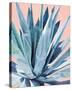 Agave with Coral-Alana Clumeck-Stretched Canvas