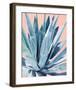 Agave with Coral-Alana Clumeck-Framed Art Print