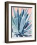 Agave with Coral-Alana Clumeck-Framed Art Print