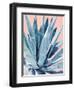 Agave with Coral-Alana Clumeck-Framed Art Print