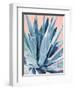 Agave with Coral-Alana Clumeck-Framed Art Print