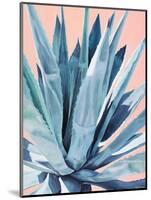 Agave with Coral-Alana Clumeck-Mounted Art Print