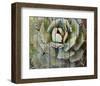 Agave-null-Framed Art Print