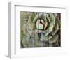 Agave-null-Framed Art Print