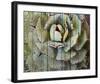 Agave-null-Framed Art Print