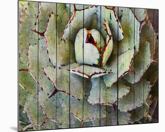 Agave-null-Mounted Art Print