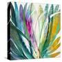 Agave-K. Nari-Stretched Canvas