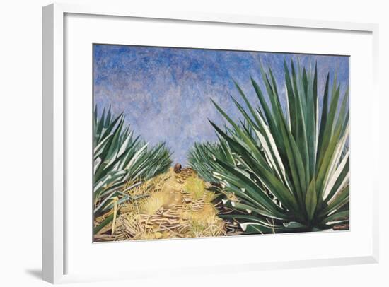 Agaves with Blue Sky, 2004-Pedro Diego Alvarado-Framed Giclee Print