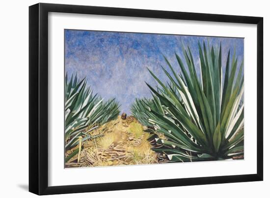 Agaves with Blue Sky, 2004-Pedro Diego Alvarado-Framed Premium Giclee Print