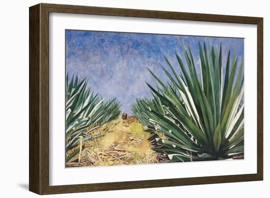 Agaves with Blue Sky, 2004-Pedro Diego Alvarado-Framed Giclee Print