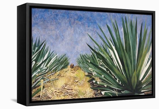 Agaves with Blue Sky, 2004-Pedro Diego Alvarado-Framed Stretched Canvas