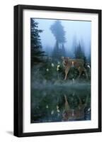 Age of Reflection-Gordon Semmens-Framed Giclee Print