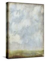 Aged Abstract Landscape II-Naomi McCavitt-Stretched Canvas