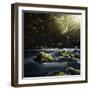 Aged Boulders Covered with Moss in a Misty Forest, Ritsa Nature Reserve-null-Framed Photographic Print