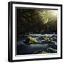 Aged Boulders Covered with Moss in a Misty Forest, Ritsa Nature Reserve-null-Framed Photographic Print